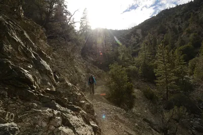 DSC_6298 (Large).JPG